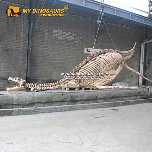 Mon Dinosaure XJ327 Attrayant, Squelette de Plesiosaure de Taille Naturelle à Suspendre - Product Image 3