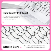 Extensions de cils en gros 0.07 C D Curl Spike Fairy, cils 3D en forme de A/M, faux cils naturels à auto-greffage