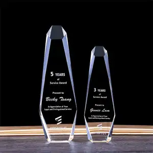 Premio in vetro Souvenir Business Honor Of Crystal personalizzato in bianco di alta qualità trofeo di moda