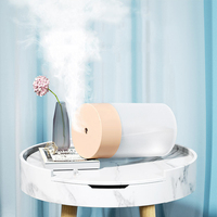 Mini humidificateur ultrasonique 260 ml, diffuseur de brume froide portable à faible bruit pour la maison avec pulvérisateur d'arômes en plastique