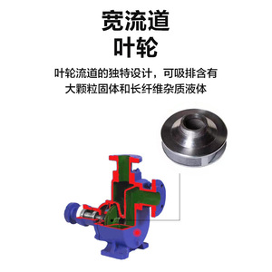 Pompe à eaux usées auto-amorçante Zwl 1,5 CV, moteur antidéflagrant, raccord à bride, sortie 1 pouce, hauteur de refoulement 7 m - Product Image 3