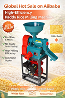 Décortiqueuse de riz multifonctionnelle, machine à décortiquer le riz, décortiqueuses pour paddy, millet, riz jaune, équipement agricole