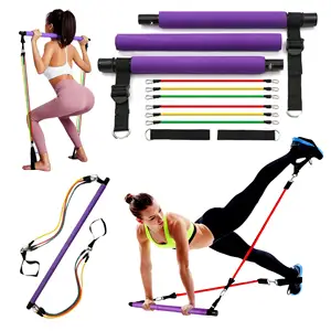 Custom Weerstand Bands Doorhalen Pull Up Rope Yogo Pilates Bar Kit Voor Vrouwen