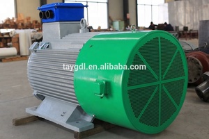 Générateur à aimants permanents à basse vitesse et haute efficacité bibo 350 tr/min 300 kW - Product Image 5