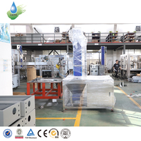 Machine de remplissage et d'emballage automatique de boissons gazeuses en bouteilles PET de 300 ml et 600 ml