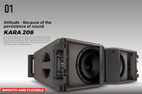 Line Array Haut-Parleur Cabinet Contreplaqué 2 Voies Double 8 Pouces Line Array Extérieur Bois Noir 450w 600W Pro PAKLAM