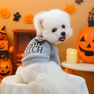 Ropa para Mascotas PETCIRCLE, Sudadera de Halloween con Bordado de Letras de Bruja Buena para Perros Pequeños y Cachorros, Otoño/Invierno - Product Image 1