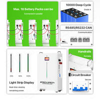 Batterie LiFePO4 51,2 V 314 Ah en kit avec communication CAN, Grade A, murale pour stockage d'énergie solaire DIY, livraison DDP UE PL