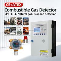 Détecteur de gaz CE ATEX H2S, détecteur de gaz toxique et combustible, détecteur de gaz fixe, alarme sonore et lumineuse applicable aux situations dangereuses