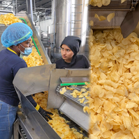 Volledig automatische 1000kg/u aardappelchips- en frietproductielijn voor de verkoop