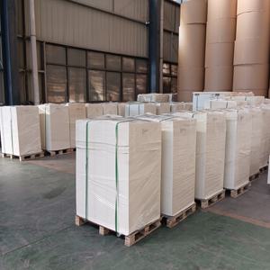 Papel Recubierto de PE Resistente en Hojas para Envasado Industrial de Alimentos 100*70cm - Product Image 6