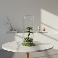 Dôme en verre vide pour exposition de fleurs, terrarium pour plantes avec base en verre pour la décoration intérieure et les fêtes de Noël
