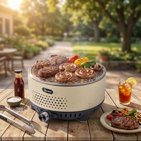 Barbecue à charbon de bois polyvalent intérieur/extérieur moderne en acier inoxydable de qualité supérieure Bernard avec plaque facile à nettoyer et réglage de la température