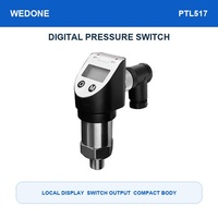 Contrôleur de pression numérique haute précision WEDONE PTL517 pour équipements industriels gaziers, aériens, hydrauliques et d'eau