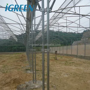 Film d'arrosage de serre de plantation grand cadre en métal de maison verte grand plateau en plastique pour la plantation de graines grande Base de fleur en verre