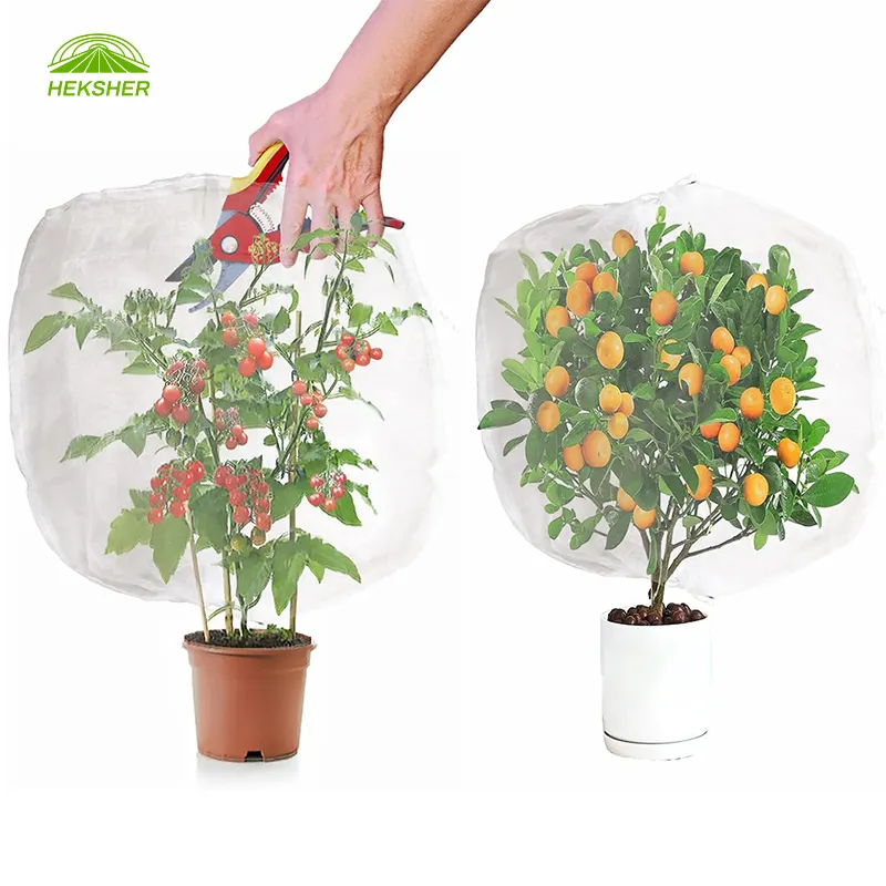 Bolsa de malla pequeña verde con cremallera Anti Insectos Frost Bird Netting Cordón Garden Plant Protect