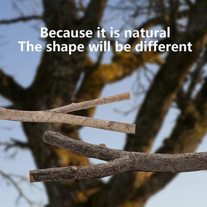 คอนสำหรับนกพิราบทำจากไม้ธรรมชาติ,อุปกรณ์เกาะสำหรับนกขนาดเล็กกรงนกขนาดเล็กมี5ชิ้น - Product Image 4