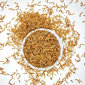 Insectenproteïnebron voor pluimvee, kippen en vogelvoer: gedroogde meelwormen - Product Image 1