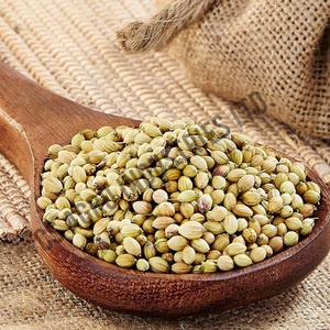 Bulk Supply and Wholesale Price Low MOQ High Demand Spices Dried Coriander <b>Seeds</b> Available Custom <b>Pack</b> - Product Image 4
