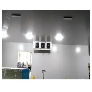 Refrigeration Cold Storage Room Price Low Temperature Cold Storage Manufacturer