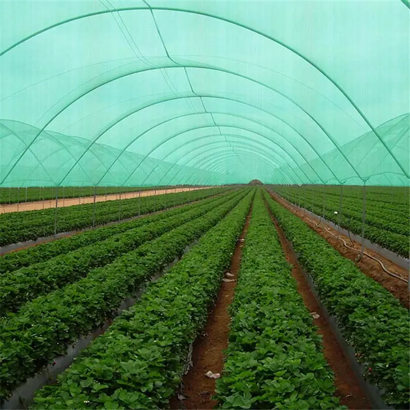 100% New Hdpe Warp Knitted Greenhouse Price Roll Waterproof Shade Net For Garden