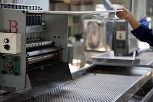 Ligne de décorticage de noix de cajou, type 4, 10 lames, capacité 1400-1600 kg/h, machines de transformation de noix de cajou entièrement automatiques - Product Image 4