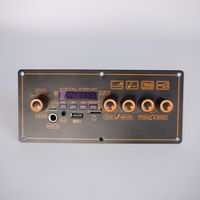 Amplifier Mobil Profesional 2 Kanal Sistem Suara Square-Dance TWS MP3 Layar Digital Baterai Lithium 37V 20W untuk Pesta Luar Ruangan