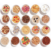 Nouvelle ligne de production de snacks soufflés pour céréales de petit-déjeuner avec extrudeuse à double vis, stérilisateur alimentaire, friteuse et mélangeur
