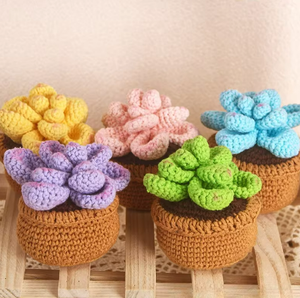 Plantes succulentes en pot au crochet fait main, <span class=keywords><strong>cactus</strong></span>, fleurs, décoration de la <span class=keywords><strong>maison</strong></span> pour le Nouvel An, Noël, décoration de table, fleurs faites <span class=keywords><strong>maison</strong></span> - Product Image 3