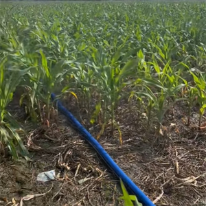 कृषि सिंचाई के लिए उच्च दबाव प्रतिरोध के साथ 2 इंच डबल विंग वर्षा नली - Product Image 5