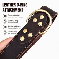 Collier pour chien en cuir de luxe robuste et durable 2026, boucle métallique réglable, collier personnalisé pour chiot, colliers pour animaux de compagnie