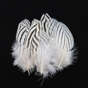 卸売りフェザーズナチュラル5-10 cmシルバー羽毛小型キジフェザー帽子デコレーション手工芸品ドライフライタイ用品 - Product Image 3