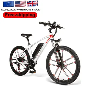 Powerful Importer Battery 48V National Free Shipping Adults City Cheap Mountain Price 250w Electric Bike For Adults