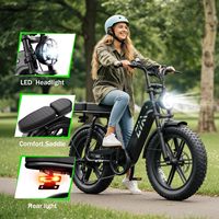 Vélo électrique tout-terrain sur mesure avec pneus larges, 48V 15AH, 7 vitesses, pneus 20"*4.0, frein hydraulique, moteur moyeu arrière, idéal pour les trajets quotidiens et la famille