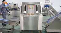 Indiase Gota Nariyal hele gedroogde kokosnoot Gota Nariyal copra-schilmachine ananas-schilmachine