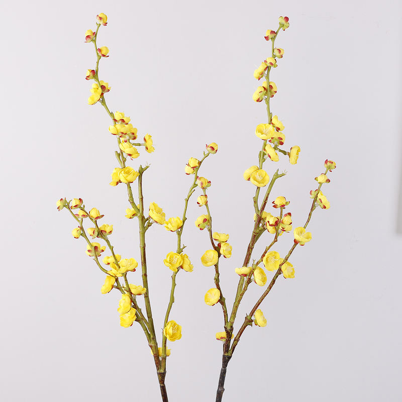 สีเหลือง