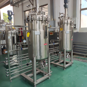 Биореакторный ферментер из нержавеющей стали для микробной культуры Lab1st 100 л 200 л - Product Image 1