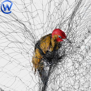 Görünmez naylon Net kuşlar kuşlar yakalamak için Nightingales - Product Image 1