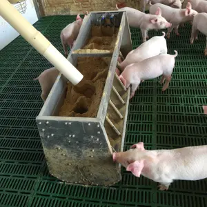 الفولاذ المقاوم للصدأ 304 التلقائي جهاز تخزية للخنازير جهين خمس رئيس الحضانة المغذية