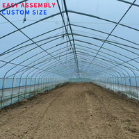 Serre tunnel agricole et horticole complète : ensemble d'équipement, petite serre mono-chapelle en PE avec structure de cadre