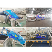 Machine de pasteurisation Baiyu Kimchi pour la transformation des légumes fermentés, machine de traitement continu pour la production de cornichons