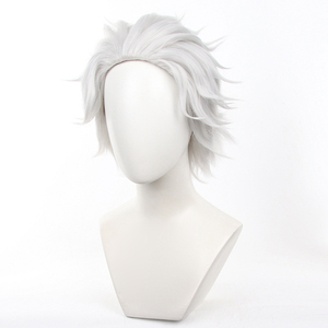 Ainizi วิกผมคอสเพลย์สั้นสีขาว-เทา <span class=keywords><strong>Hajime</strong></span> emiya - Product Image 3