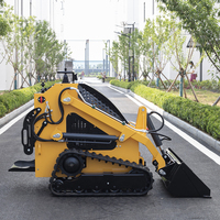 Mini-Kompaktlader mit Radantrieb, Benzinmotor, CE EPA Euro 5, für Schneeräumung, Landschaftsbau und Gartenarbeit, mit Anbaugeräten
