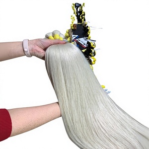 Cheveux humains vierges longs et raides de qualité supérieure Nasa Hair, en vrac, trame simple, pointes pleines, prêts à la décoloration et à la permanente, toutes couleurs, Bac Ninh 1kg - Product Image 1