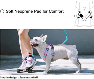 <span class=keywords><strong>Fashion</strong></span> Dog Harness Reflective Breakaway Feature Komfort Weich gepolstertes Nylon <span class=keywords><strong>Pet</strong></span> Arnes Blumen lichter Choke Free Step Dog Harness - Product Image 3