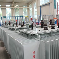 Transformateur immergé dans l'huile 800 kVA 10 kV S11 triphasé abaisseur de tension 10000 V à 400 V pour distribution extérieure