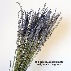 ราคาขายส่ง ดอกลาเวนเดอร์แห้งธรรมชาติ ขนาด 60 ซม. สำหรับตกแต่ง - Product Image 4