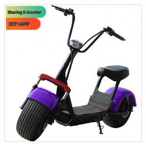 <span class=keywords><strong>Citycoco</strong></span>-triciclo eléctrico de 2021 W, Scooter Eléctrico de segunda mano, en venta, 4000 - Product Image 6