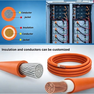 Aangepaste positieve en negatieve waterdichte elektrische batterij-energieopslagkabels met PVC-isolatiemateriaal voor elektronica - Product Image 2