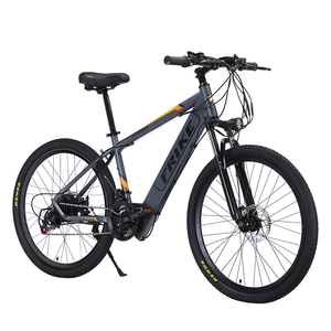 Vélo électrique FRIKE <span class=keywords><strong>le</strong></span> plus vendu en usine pour adultes, moteur roue arrière, cadre en acier, pour hommes - Product Image 2